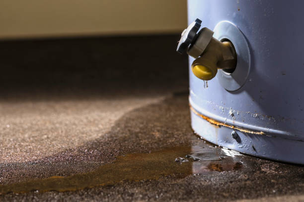 Best Professional water damage repair  in Millcreek, UT