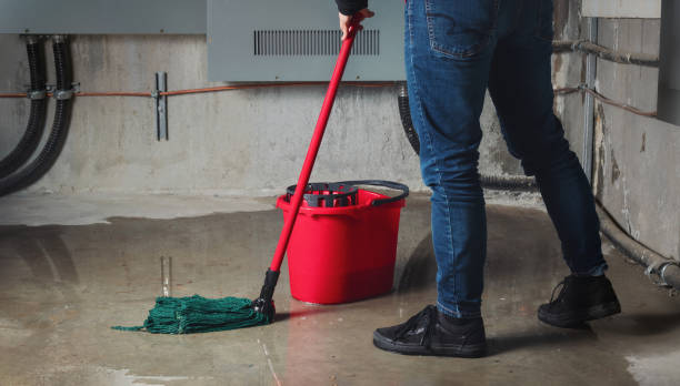  Millcreek, UT Water damage restoration Pros