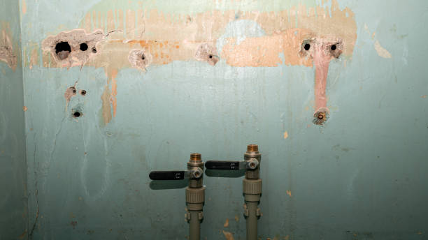Best Water damage contractors near me  in Millcreek, UT
