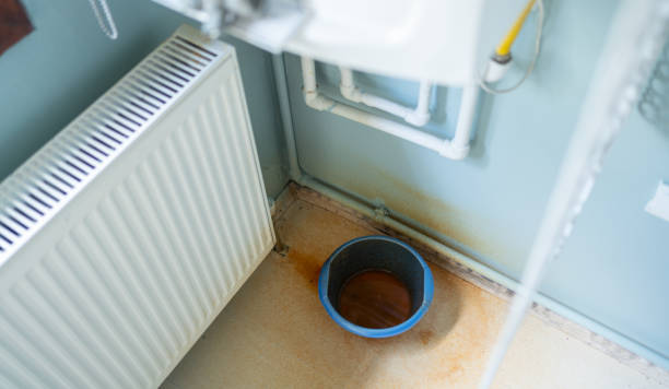 Best Local water damage restoration  in Millcreek, UT