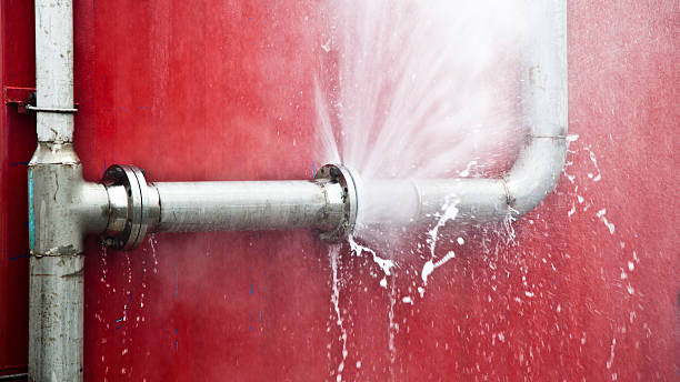 Best Sewage cleanup and water damage restoration  in Millcreek, UT